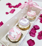 *New* Full Window Cupcake Boxes