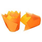 Tulip Muffin Cases
