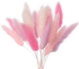Lagarus (Bunny Tails) - The Baked Studio
