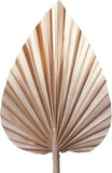 Decorated Dried Palm Spear - The Baked Studio