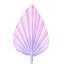 Decorated Dried Palm Spear - The Baked Studio