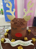 Reindeer cake kit (without cake)